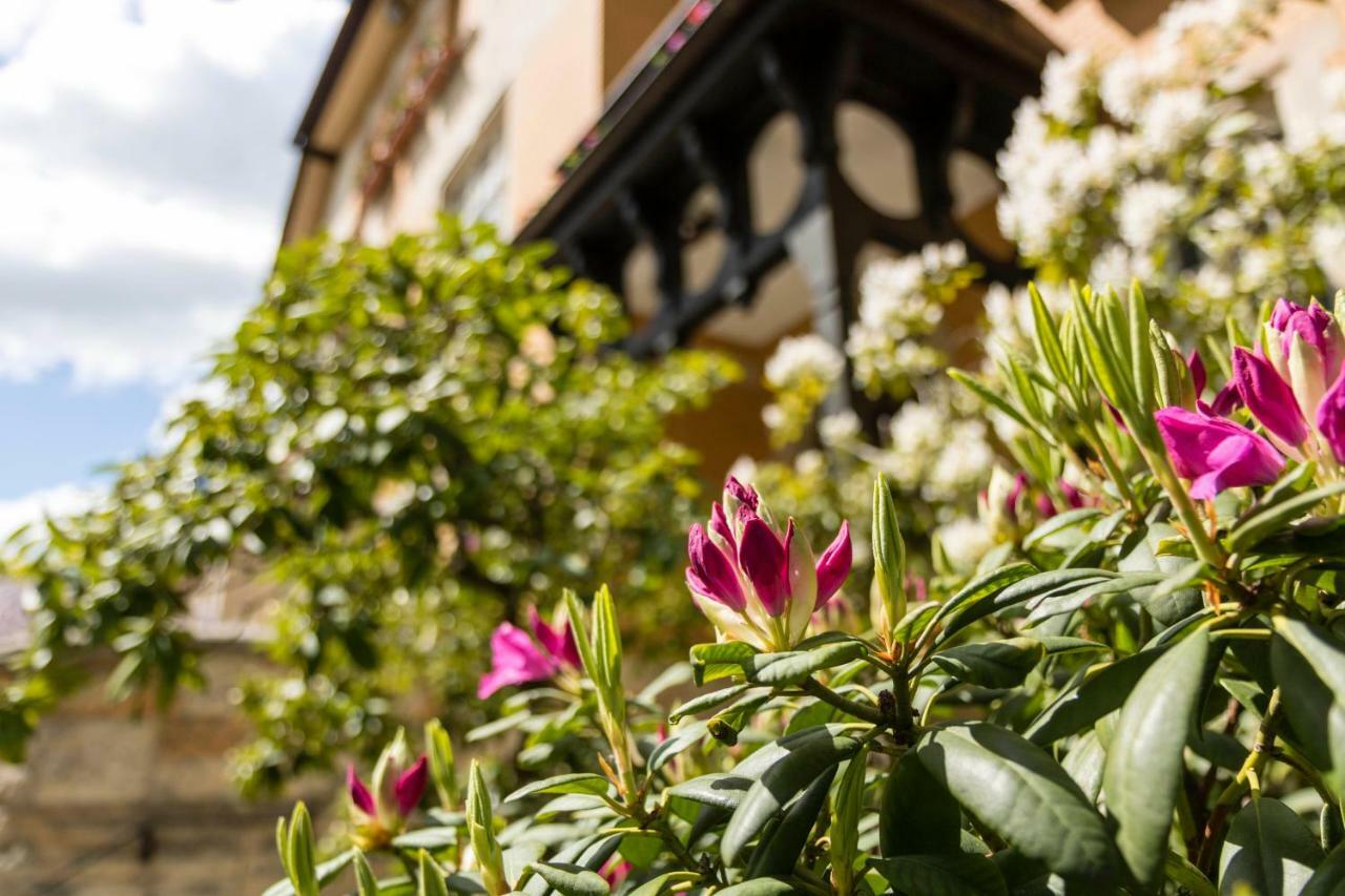 Gaestehaus Musmann Hannoversch Münden Exterior foto